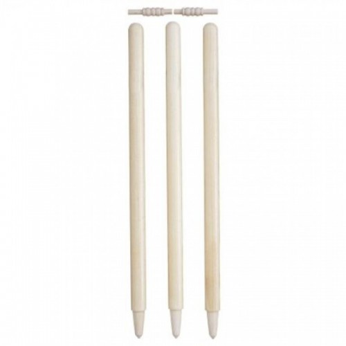 Cricket Accessories