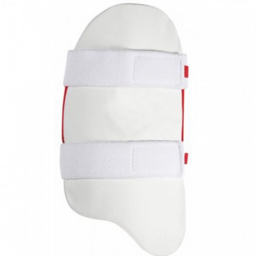 Cricket Accessories